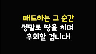 TSMC 엔비디아 블랙웰 생산 차질 루머 일축! 내가 SOXL 절대 매도하지 않는 이유?