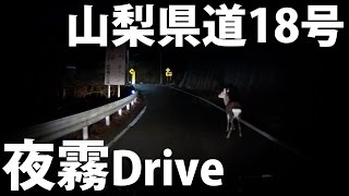 鶴峠 山梨県道18号 夜霧の中の白いお尻？ 【HD】