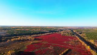 Fall Fun With The FPV Drone! New Brunswick Canada.