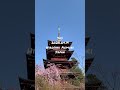 sky 2023.04.19日本青森縣弘前市的天空 8，hirosaki aomori japan 。拍攝地點：最勝院五重塔