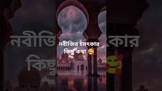 নবীজির চমৎকার কিছু কথা 🥰#shorts #history #youtubeshorts #viralvideo #facts #amazingfacts #trending🥰