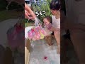 【11ヶ月】夏休み体験してきた☀️ baby 赤ちゃん あかちゃん 子ども baby cutebaby ベビー shorts