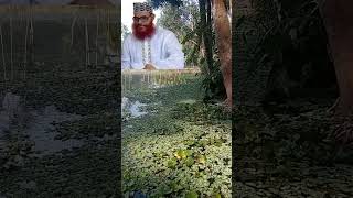 আমাদের হাড্ডি গুড্ডি যখন --+#delwar_hossain_saidi #waz#LEAD SS#shortsvideo #foryou