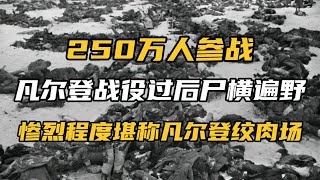 凡尔登战役：一战时期的惨烈战役，德法双方投入250万人，伤亡近百万，堪称战场绞肉机！ #历史 #战争