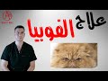 أسباب وعلاج الفوبيا | كيفية التخلص من الفوبيا | أنواع وأعراض الفوبيا - Specific phobias