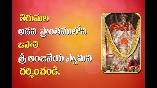 తిరుమల జపాలి ఆంజనేయస్వామి # Sri Anjaneya Swamy in Tirumala Forest Japali # Temple news today