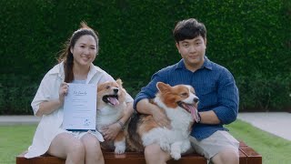 ชีวิตจริงของลูกบ้านเมเจอร์ฯ ครอบครัว “MAJOR PET FAMILY”