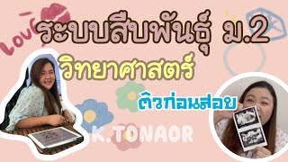 ระบบสืบพันธุ์ ม.2 วิทยาศาสตร์ แบบสรุปง่าย ๆ #ติวก่อนสอบ #วิทยาศาสตร์