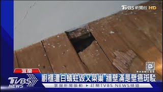 租屋住引質疑 游錫堃公開自家農舍殘破不堪｜TVBS新聞 @TVBSNEWS01