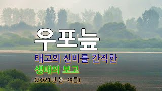 태고의 신비를 간직한 생태의 보고, 창녕 우포늪(4K 고화질), 타임랩스(Timelapse) 영상과 고속셔터 사진들로 편집한 4K 고화질 영상입니다.