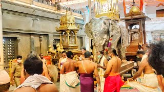 Mantralaya Rathotsava 2022 | Sri Raghavendra Swamy