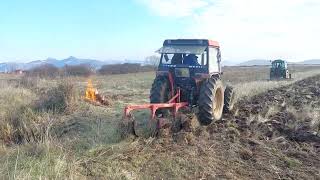 ZETOR 7340 TURBO ORKA RILESKO 2024 ALEKSANDAR MARKOSKI