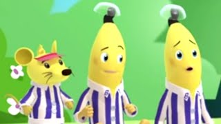 Rat the Banana - Animated Episode - Bananas in Pyjamas Official