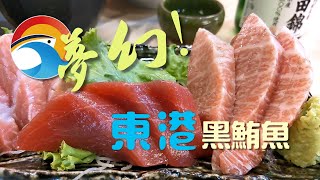 【開伙-地方特產】夢幻東港黑鮪魚 | Bluefin Tuna in Taiwan