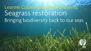 IES Webinar: Seagrass restoration - Bringing biodiversity back to our seas