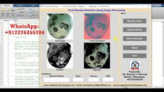 Matlab Project on Fruit Disease Detection Using Image Processing Full Source Code