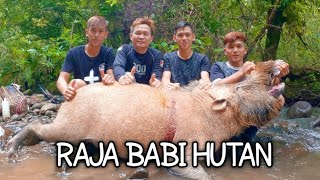 BERBURU BABI HUTAN || SUNGAI PURA