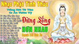 Đừng Sống Hơn Nhau, Kiếp Sống Không Tiền....999 Ca Khúc Nhạc Phật Giáo Hay Nhất 2025 #Nghe Bình An