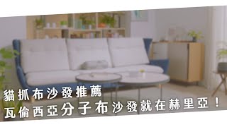 【貓抓布沙發推薦】瓦倫西亞分子布沙發就在赫里亞｜赫里亞沙發