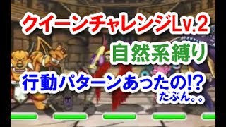 【DQMSL】クイーンチャレンジLv2 自然系モンスターのみでクリア