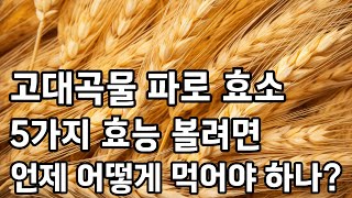 파로 효소의 효능 5가지와 먹는법