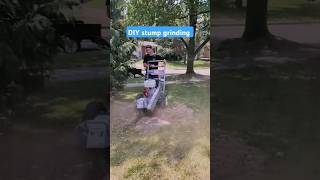 DIY stump grinding, you can rent this for $100 it took 15 mins to remove #stump #stumpgrinding #diy