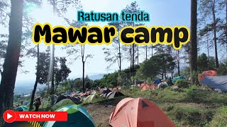 Ratusan tenda di mawar camp.