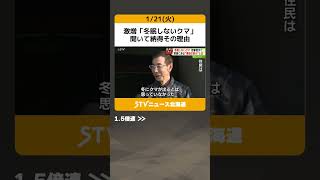 激増「冬眠しないクマ」　聞いて納得その理由　「冬にクマは出ない」はもはや、今は昔の話です #shorts