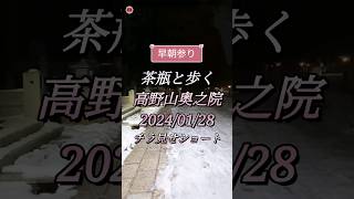 令和6年1月28日　高野山　奥之院　茶瓶チャンネルチラ見せショート　 #弘法大師