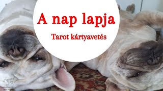 Egykártyás napi tarot üzenet