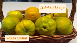 چۆنیتی دروست کردنی مرە بای بە هێ