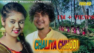 Shaliya chhodi || Official Video || Amrit Tanti || Jyotika || sanjeeb Hazarika || New Jhumur song