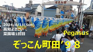 ぞっこん町田'98 / 高知よさこい / 2024.8.11菜園場1回目