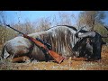 Rigby 's .416 Big Game rifle and .275 Highland Stalker rifle hunt in Africa