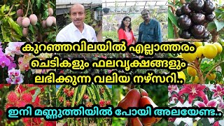 എല്ലാ ചെടികളും, ഫലവക്ഷങ്ങളും മിതമായ നിരക്കിൽ ലഭിക്കുന്ന നഴ്സറി.PSN HighTech Nursery Perinthalmanna