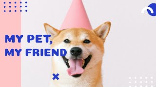 Free Pet Slideshow Video Template (Customizable) - FlexClip