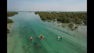 Book your Kayaking Experience, the guided kayak tour at Jubail Mangrove Park in 4K