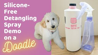 Is Silicone-Free Dog Detangler Spray Effective? Marsh-Mello Dematt Demo on a Goldendoodle