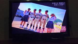 【夏の高校野球2017】第99回全国高等学校野球選手権宮城大会 球児の夏 エンディング