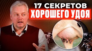 17 секретов удоя | проблемы врасплох о которых вы не знали