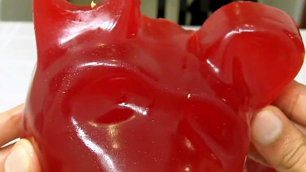 Worlds Largest Gummy Bear Unwrapping And Taste Test Review - YouTube