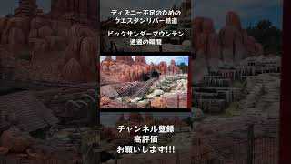 【夢開拓者】ディズニー不足のためのウエスタンリバー鉄道 ビックサンダーマウンテン通過の瞬間 #shorts #東京ディズニーランド #ディズニー #東京ディズニーリゾート #disney