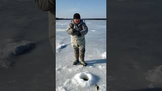 Another musky caught through the ice!!!