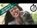 do our pets care about us 6 minute english