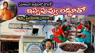 ఇప్ప పువ్వు లడ్డుతో ఇన్ని ప్రయోజనాల?కుమ్రం బాగుబాయి మాటల్లో #adivasi #aharam #ippapuvvuladdu #utnoor