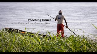 Patrol: Poaching Issues Along the Banks of the Zambezi River.