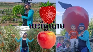 មកបេះផ្លែប៉ោម🍏🍓នឹងបន្លែ🫑🌽🥬🍅នៅចំការផ្ទាល់នៅស្រុកបារាំង khmer France