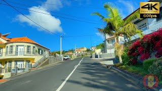 MADEIRA 🚗 Estreito da Calheta ⇢ Maloeira 💢4K 60fps #virtualmadeira