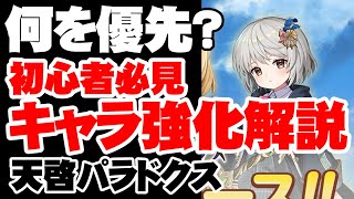 【初心者必見】キャラ強化要素を解説！【天啓パラドクス】【テンパラ】