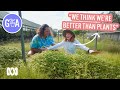Native Nursery | Australian native plants | Gardening Australia